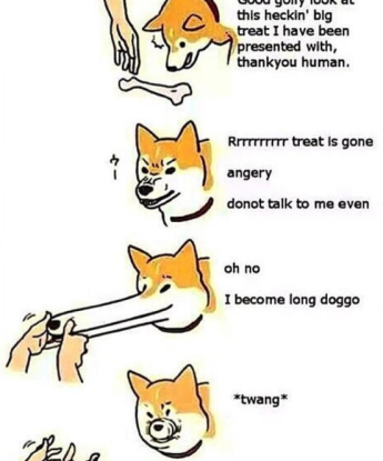 long-doggo